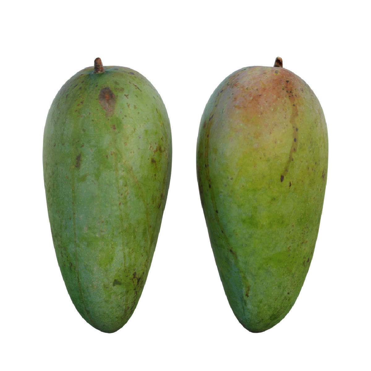 mango 09 3D model_2