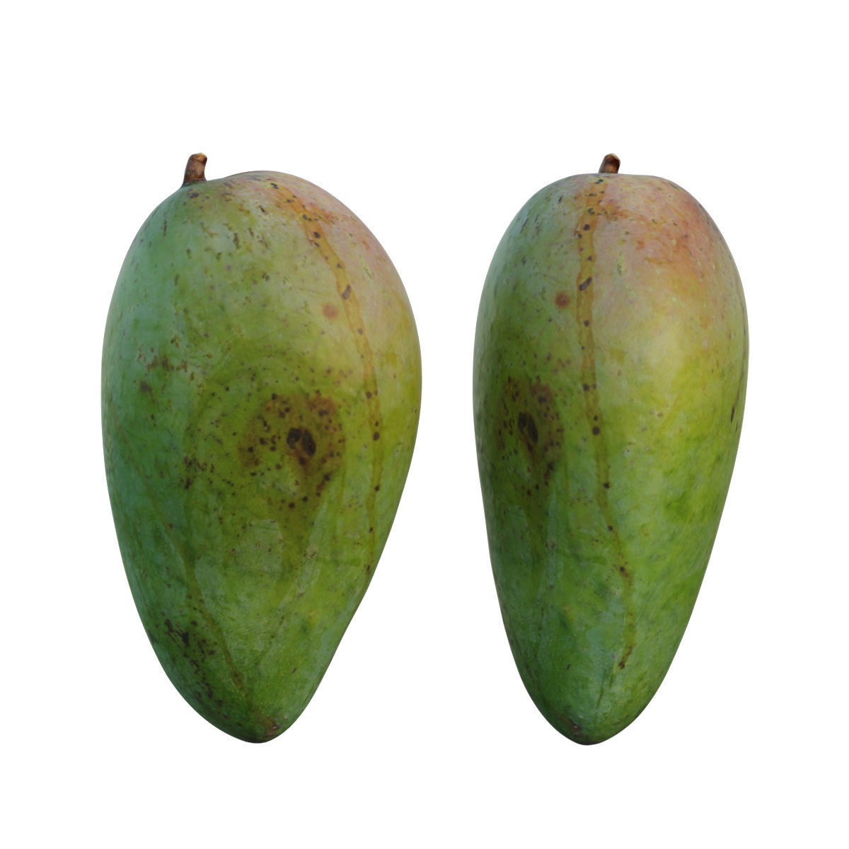 mango 09 3D model_1