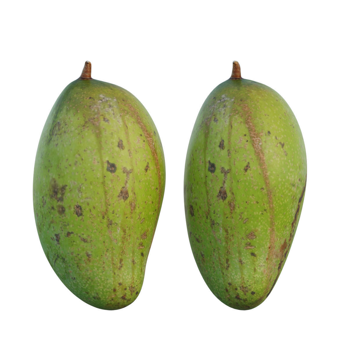 mango 09 3D model_3