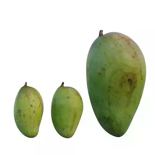 mango 09