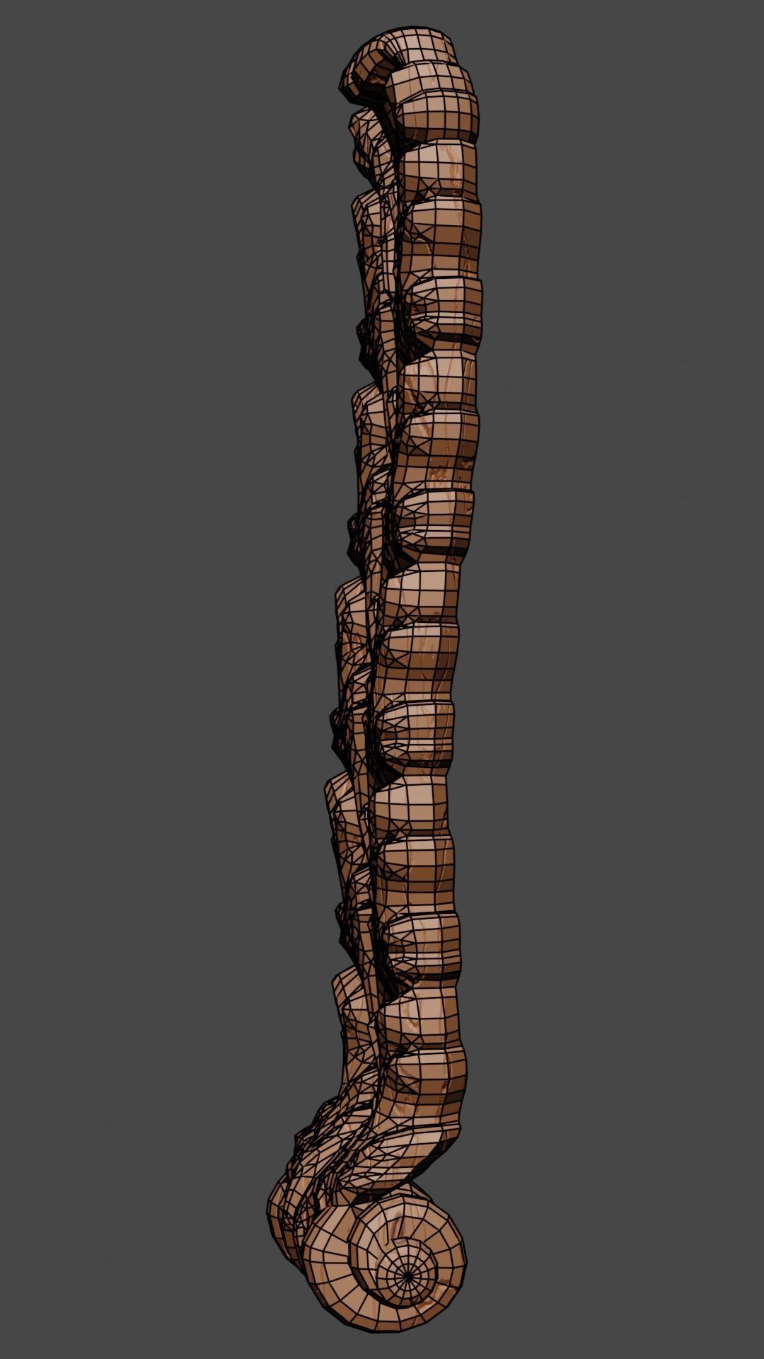 Floral Ornamental Leaf 3D model_5