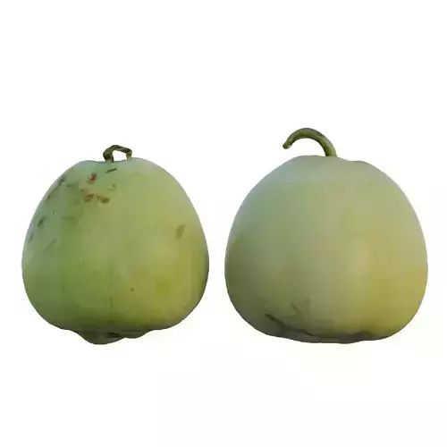 Pear shaped pyrifrom melon 02