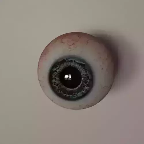 Human eye photoreal - low poly - GameReady Low-poly 3D model