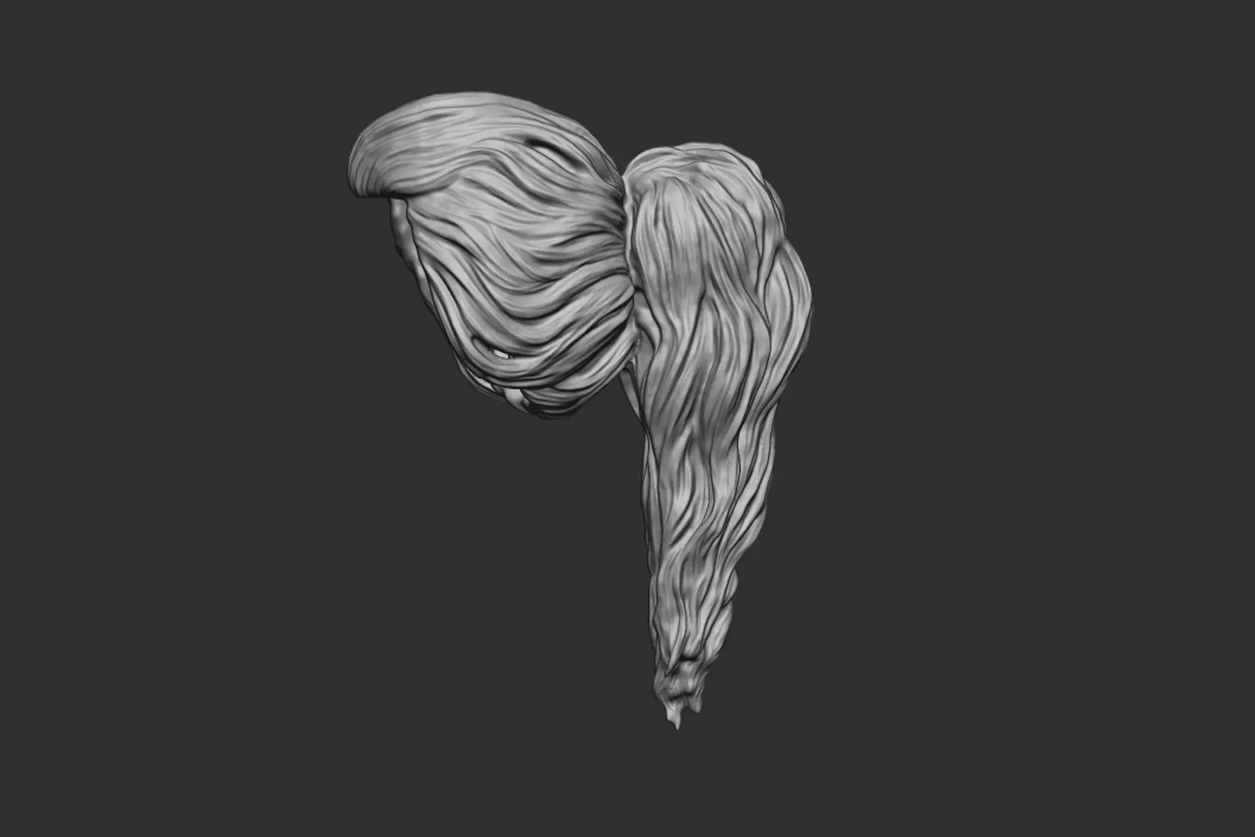hair 34 3D print model