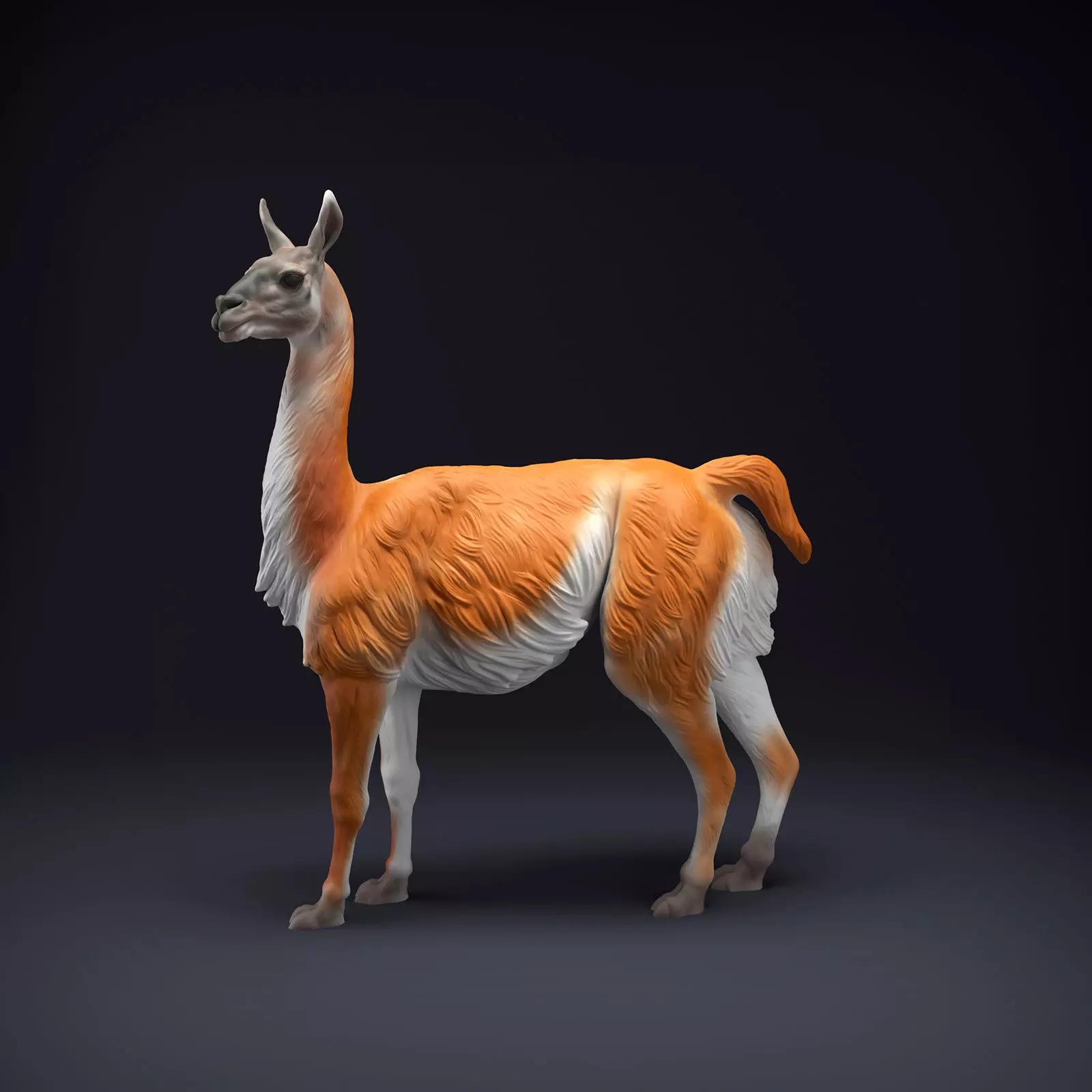 Guanaco for 3D Printing 3D print model_0