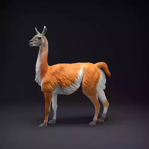 Guanaco for 3D Printing 3D print model