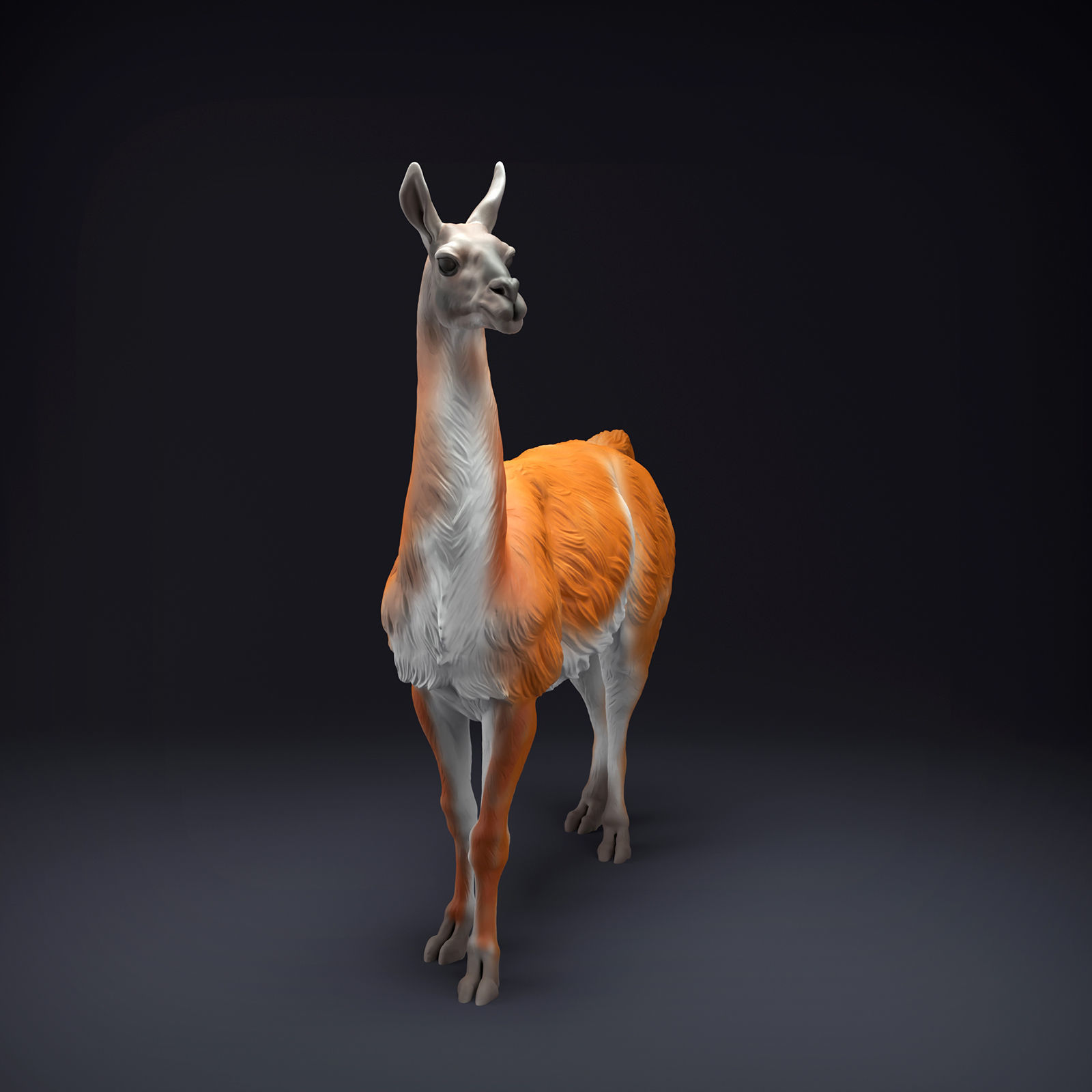 Guanaco for 3D Printing 3D print model_2
