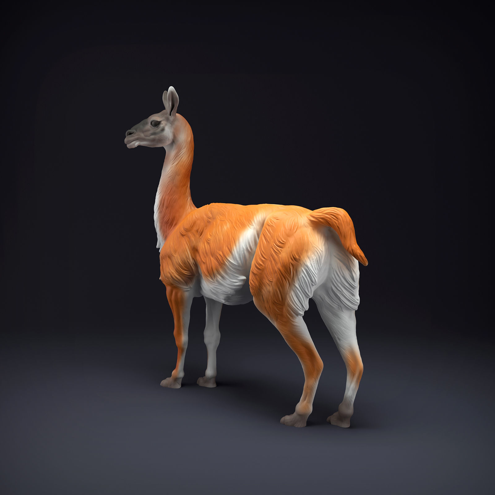 Guanaco for 3D Printing 3D print model_3