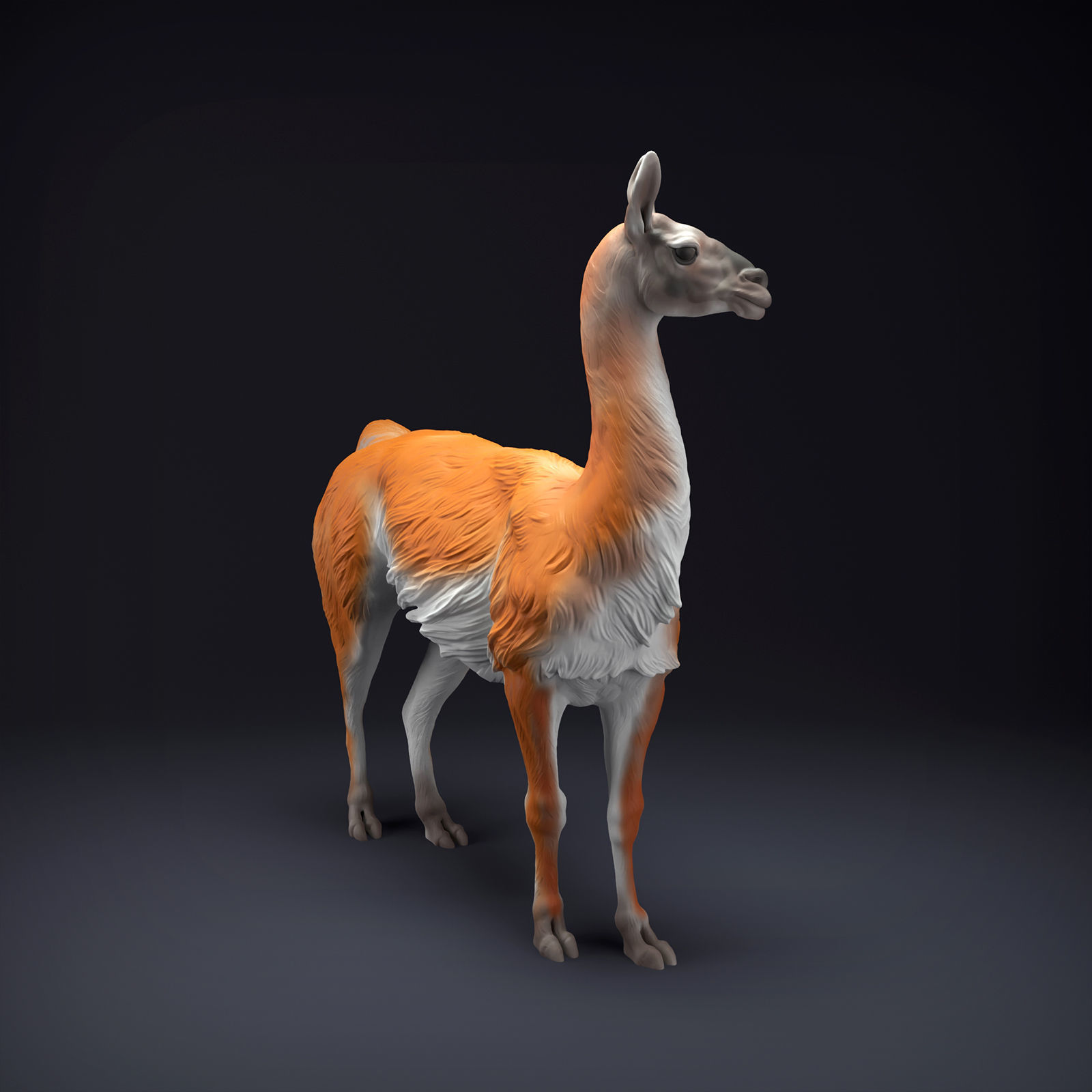 Guanaco for 3D Printing 3D print model_1