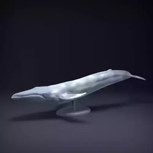 Blue Whale for 3D Printing