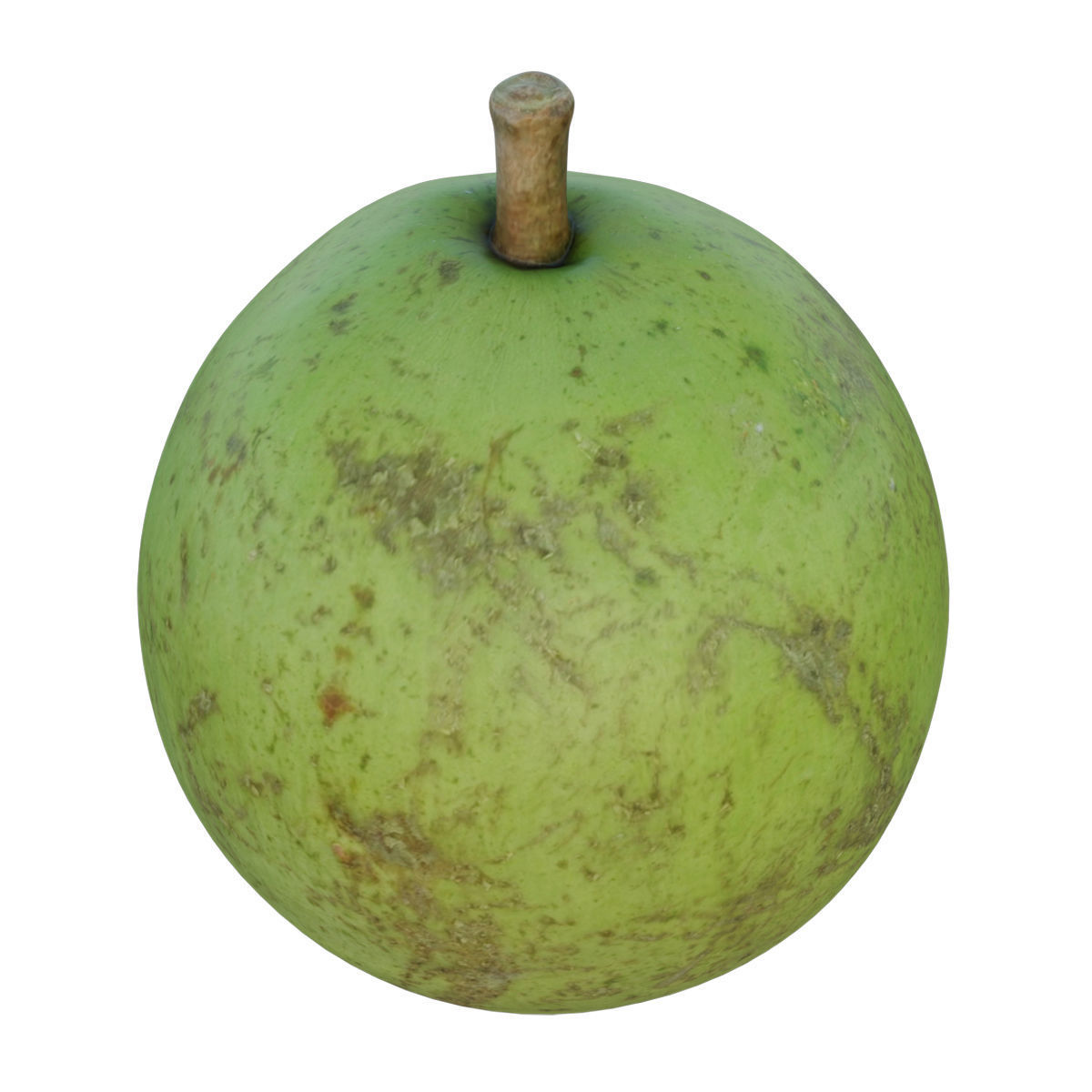 Pear shaped pyrifrom melon 3D model_1