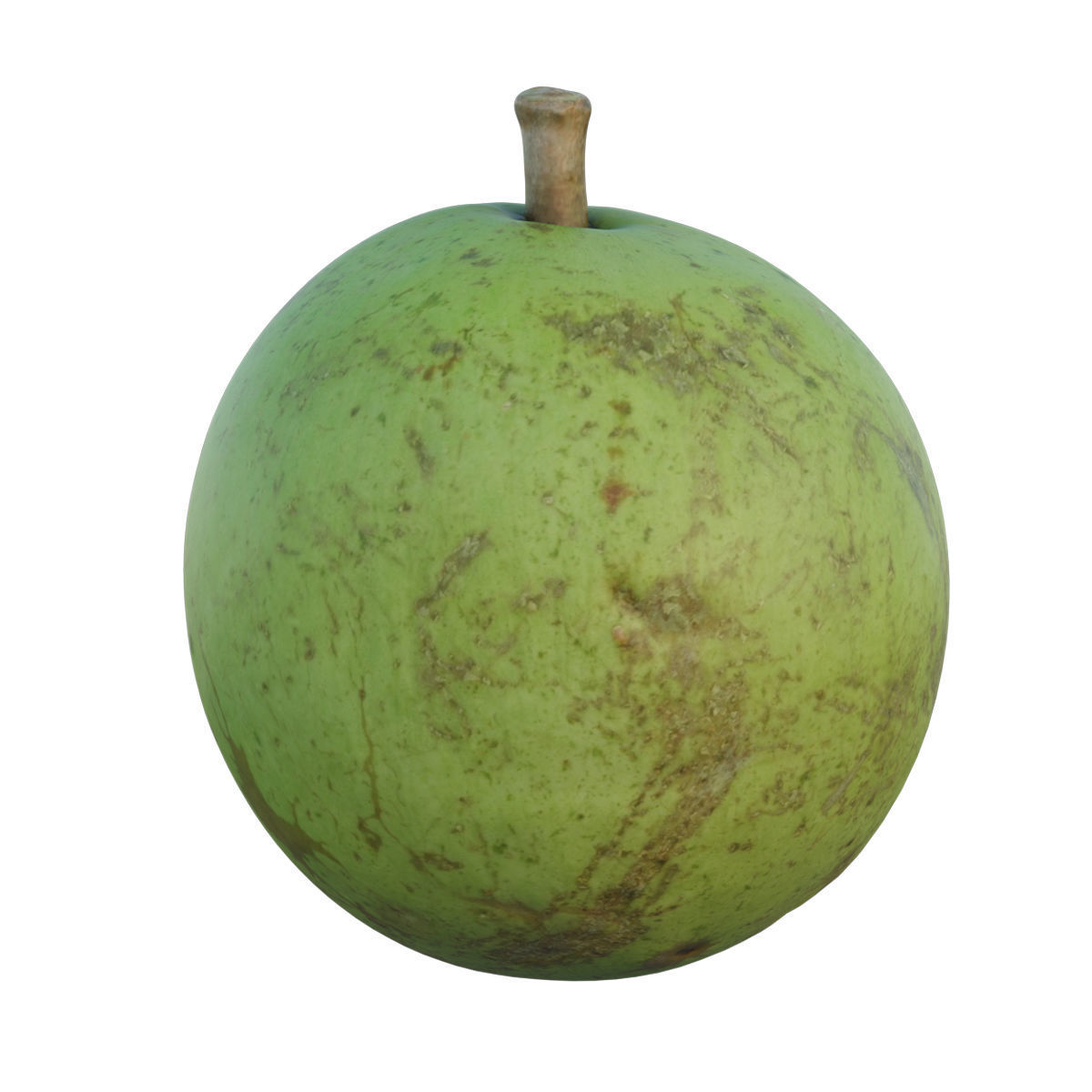 Pear shaped pyrifrom melon 3D model_2