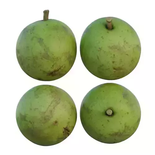 Pear shaped pyrifrom melon