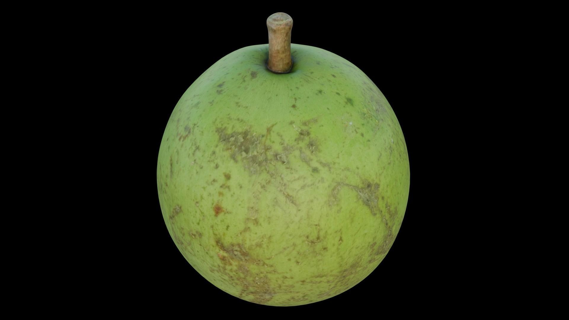 Pear shaped pyrifrom melon 3D model_8