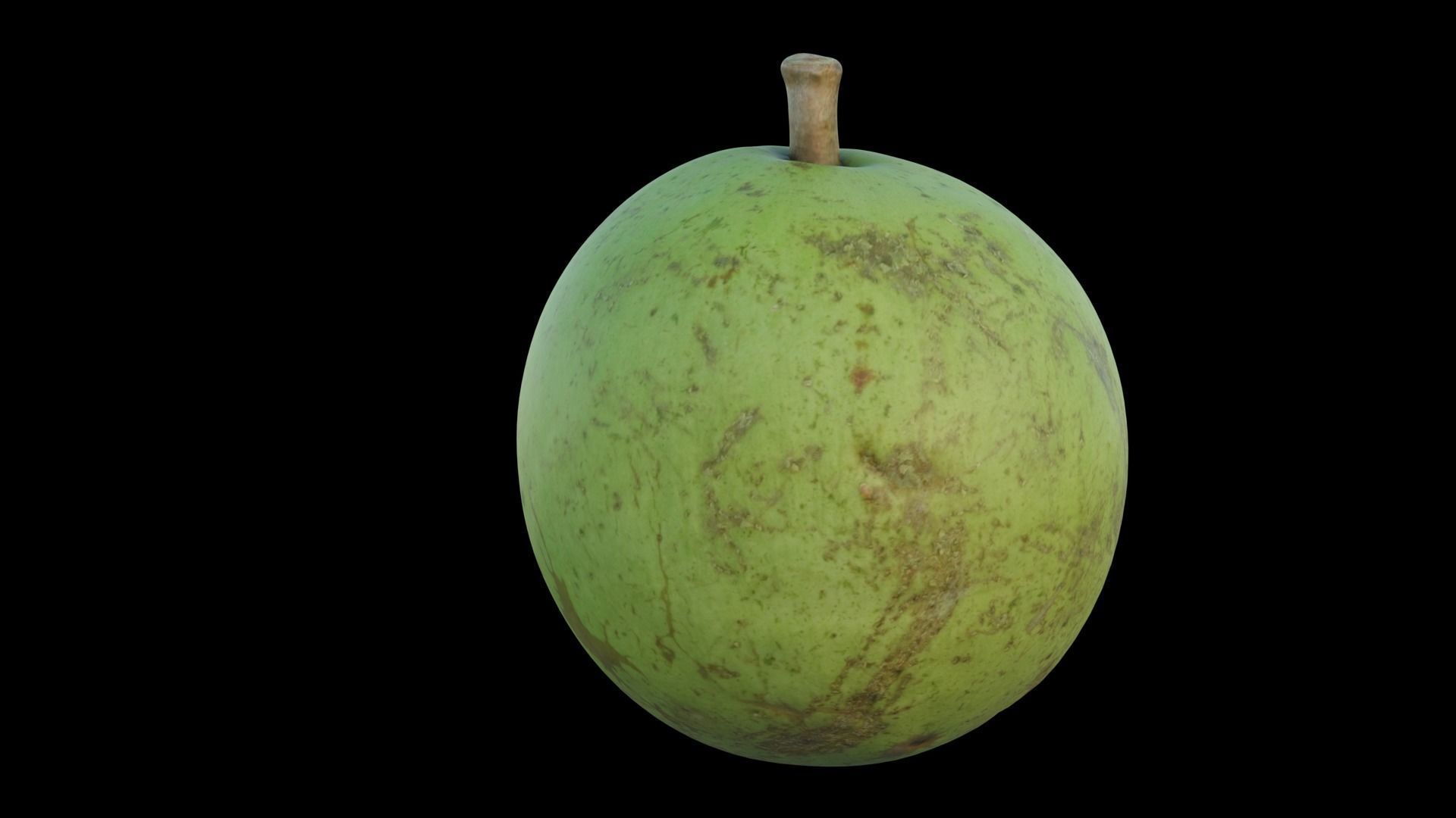 Pear shaped pyrifrom melon 3D model_6