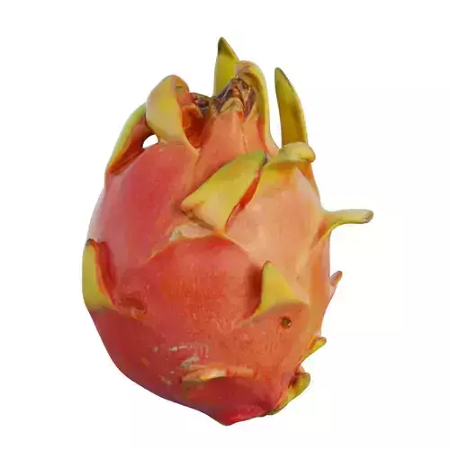 Dragon fruit 03