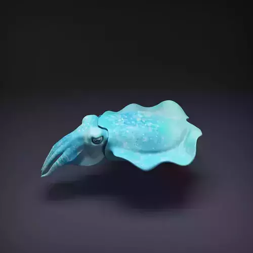 Cuttlefish for 3D Printing 3D print model
