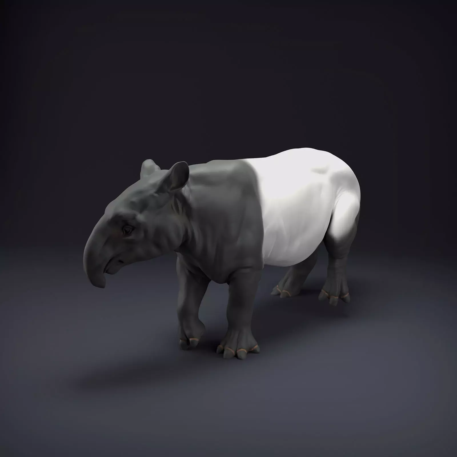 Malayan Tapir for 3D Printing 3D print model_0