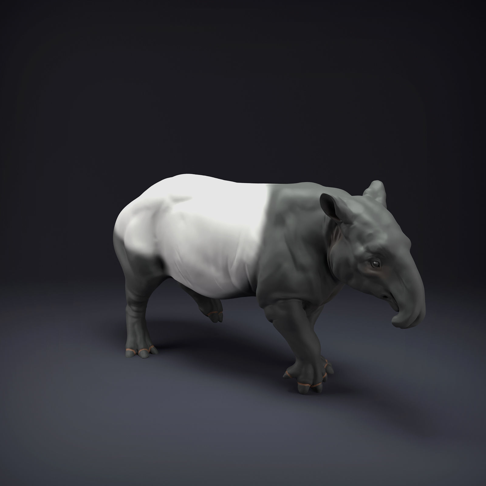 Malayan Tapir for 3D Printing 3D print model_3