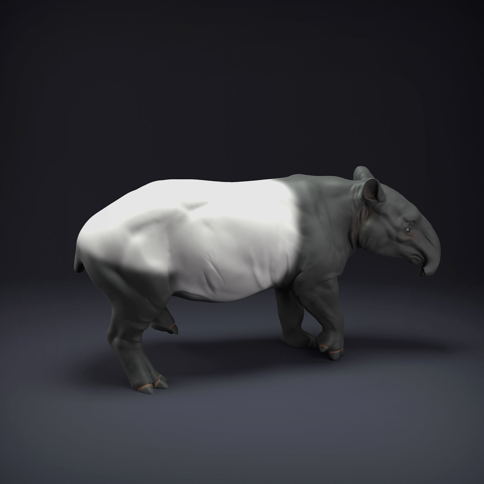 Malayan Tapir for 3D Printing 3D print model_2