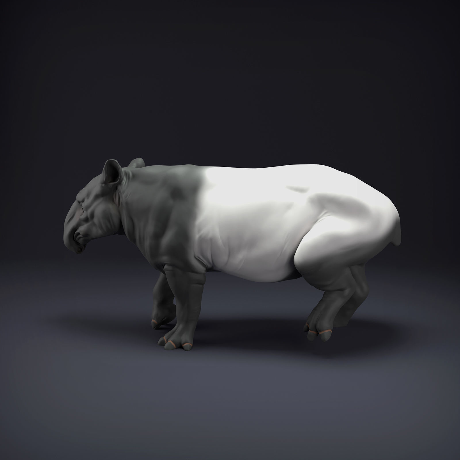 Malayan Tapir for 3D Printing 3D print model_1