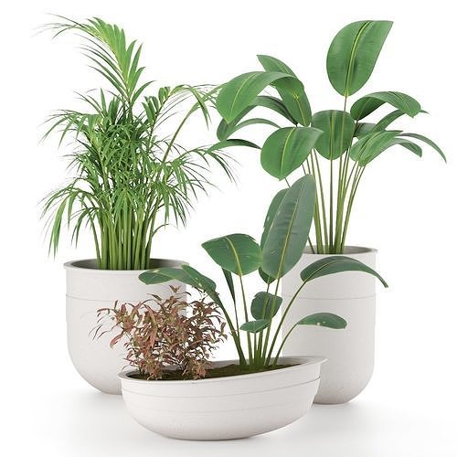 Plant-Set-002- three plant pots 3D model
