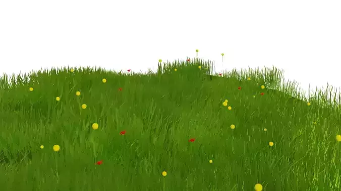 grass grassy field with flowers