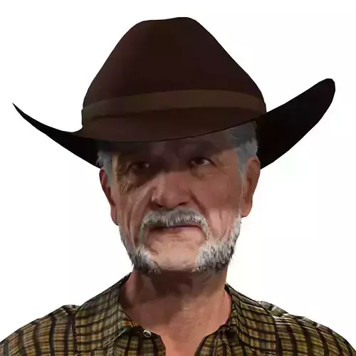 Old Man Modern Western Rancher Cowboy Low-poly 3D model