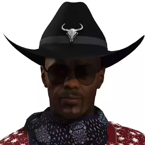 Country Music Star - Modern Cowboy