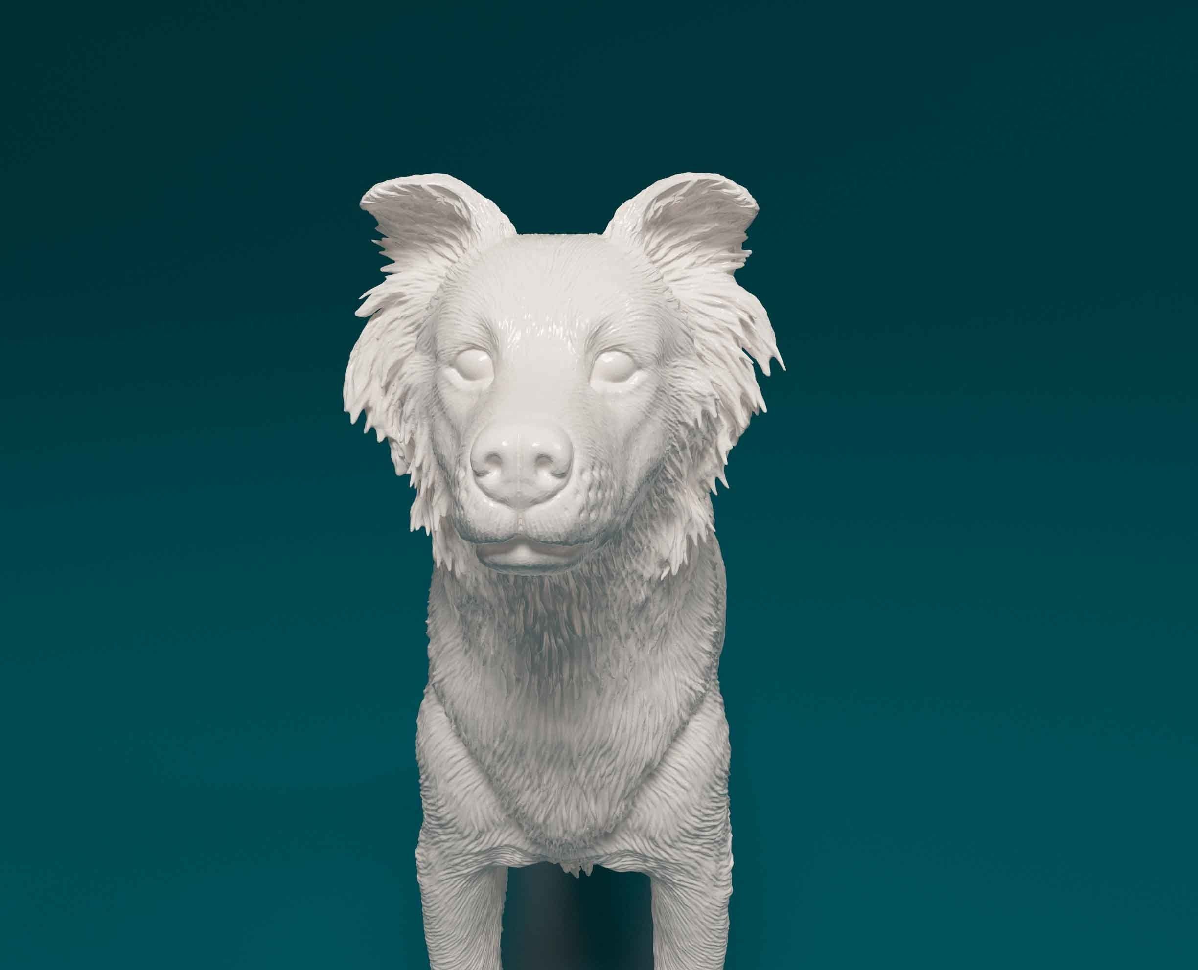 Border Collie cross 3D print model_7