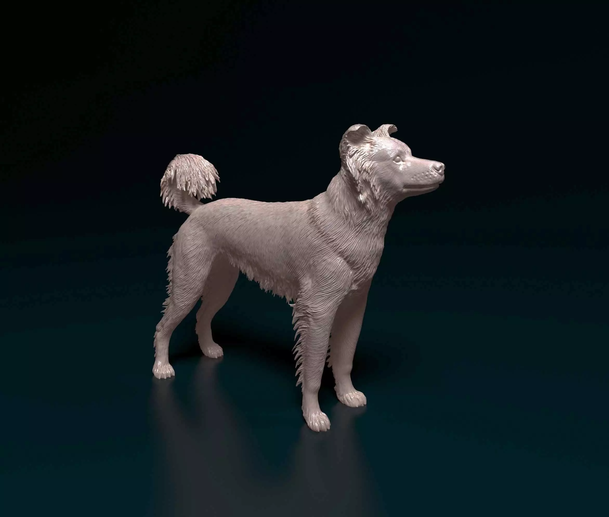 Border Collie cross 3D print model_0