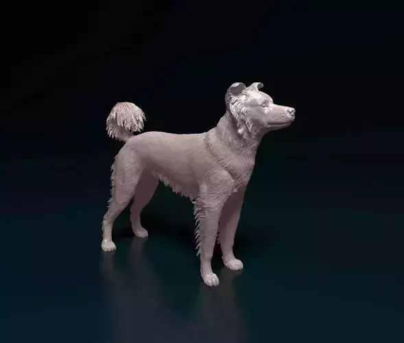 Border Collie cross 3D print model