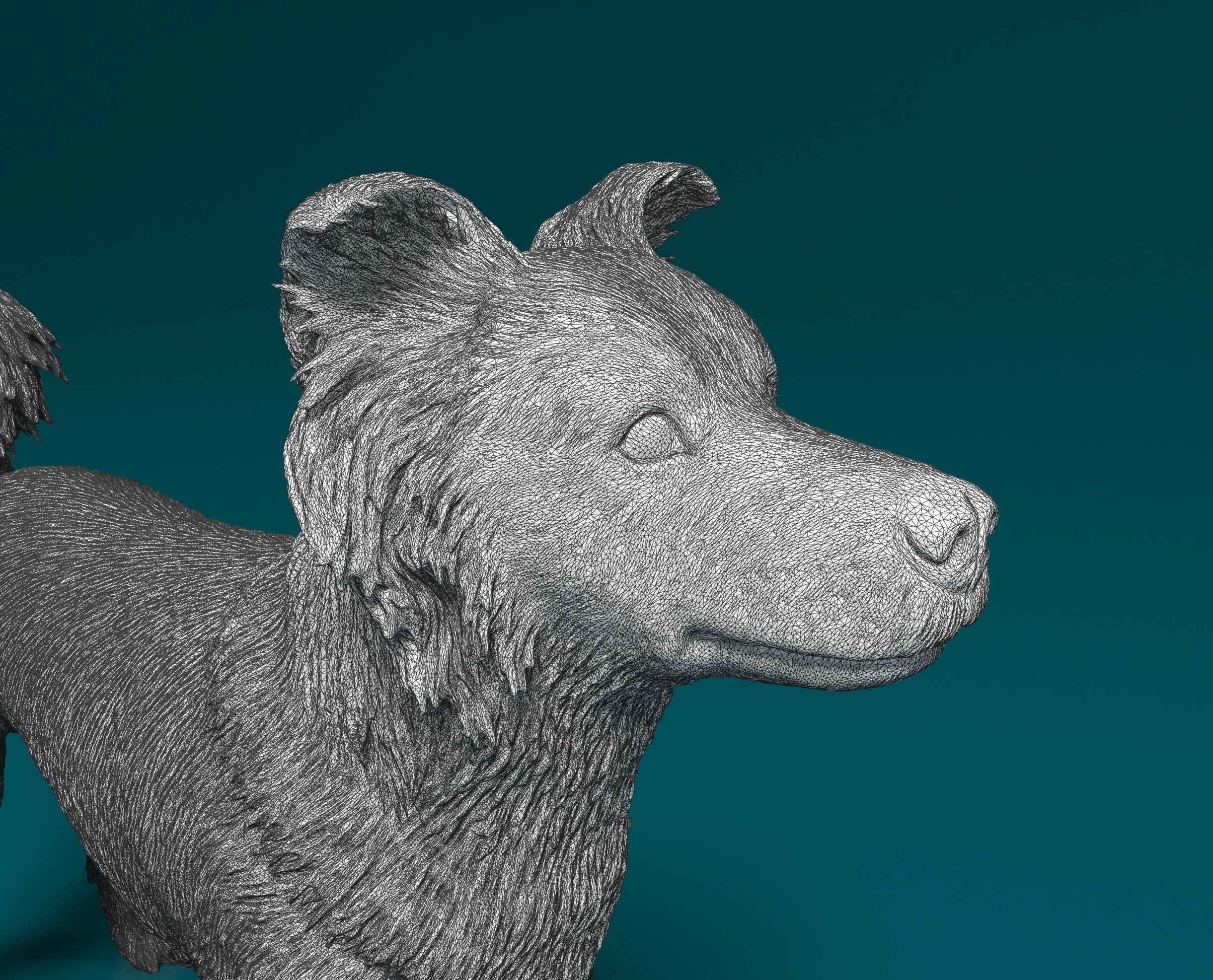 Border Collie cross 3D print model_9