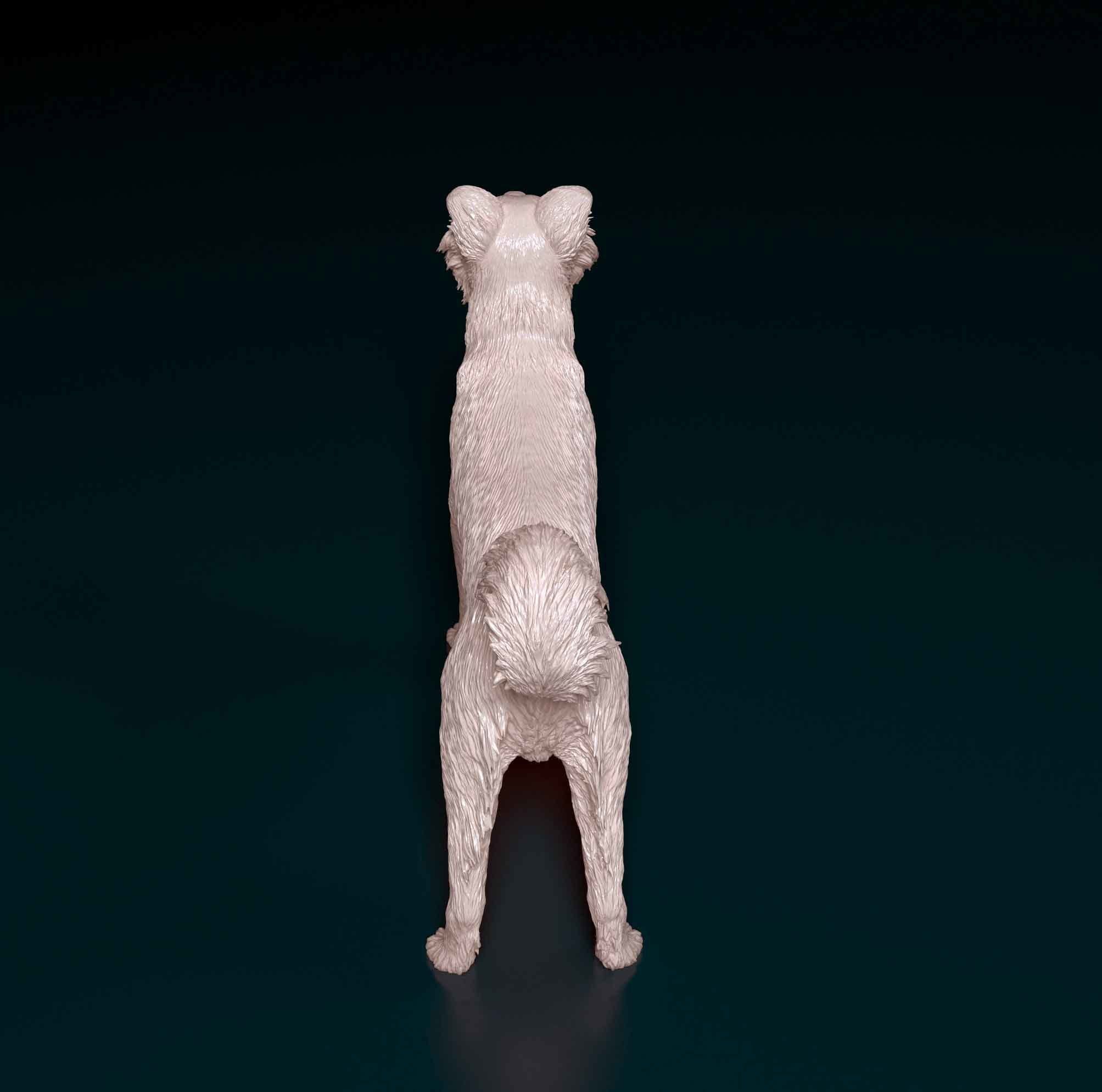 Border Collie cross 3D print model_3