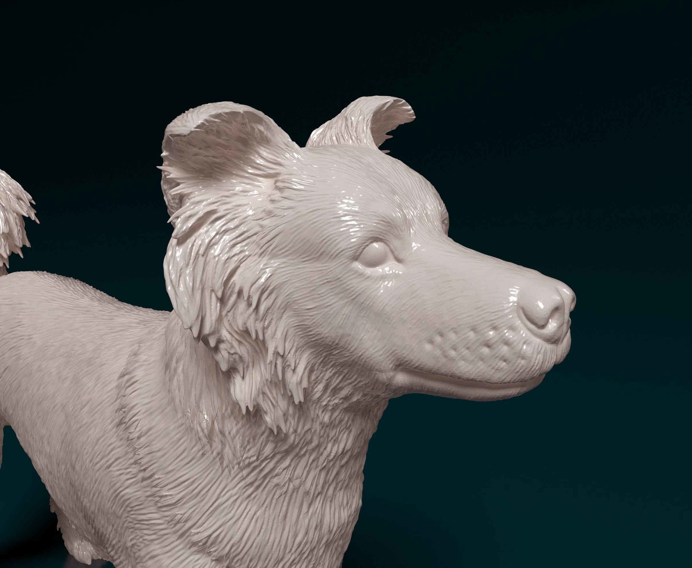 Border Collie cross 3D print model_8