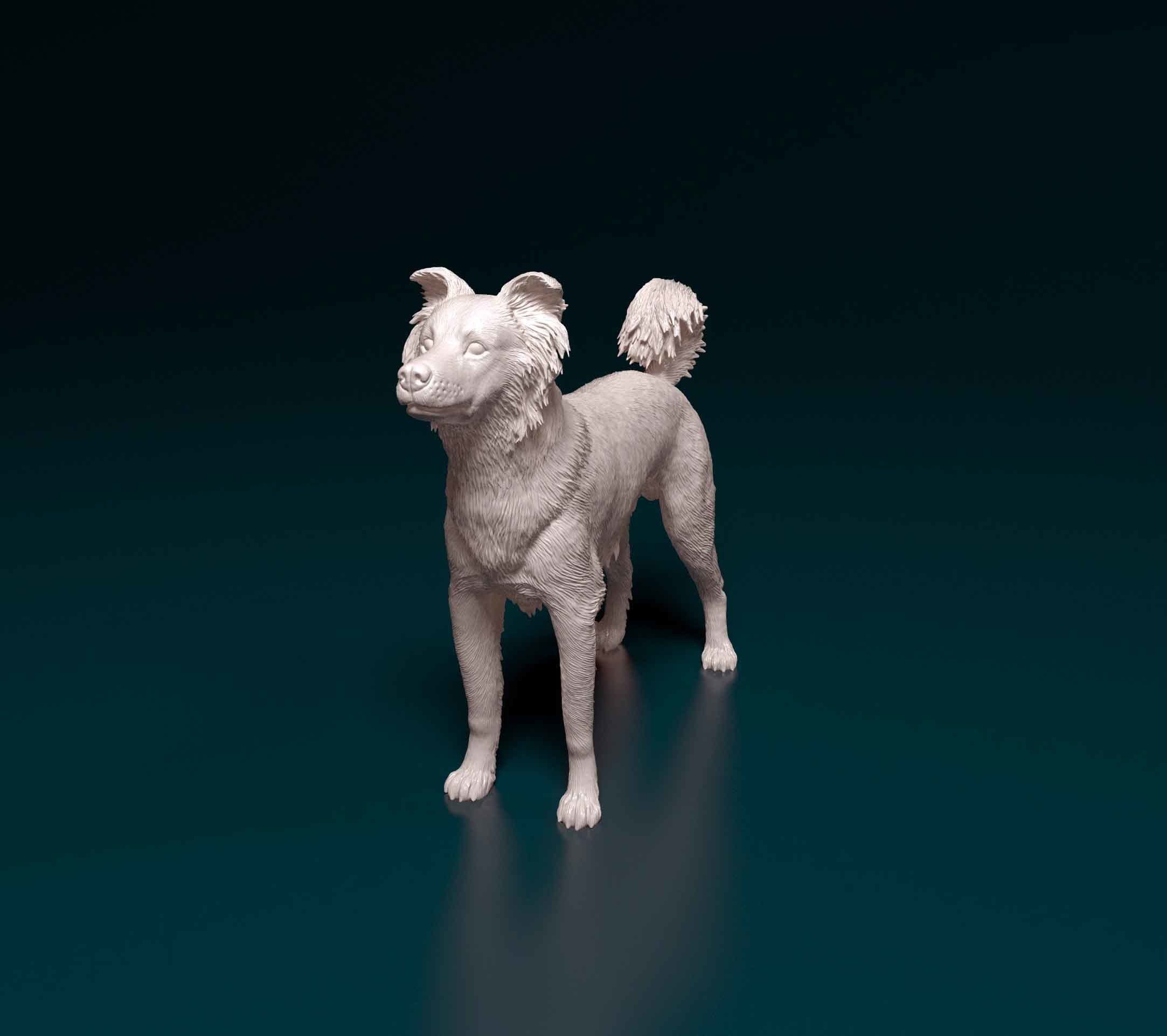 Border Collie cross 3D print model_6