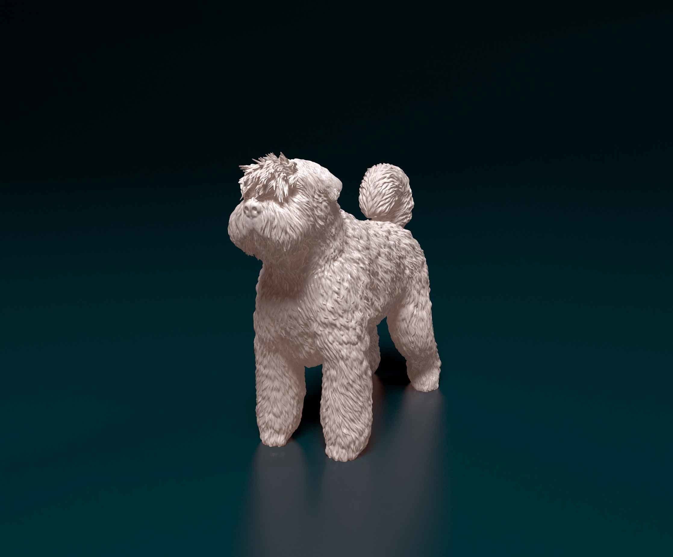 Bouvier des Flandres 3D print model_6