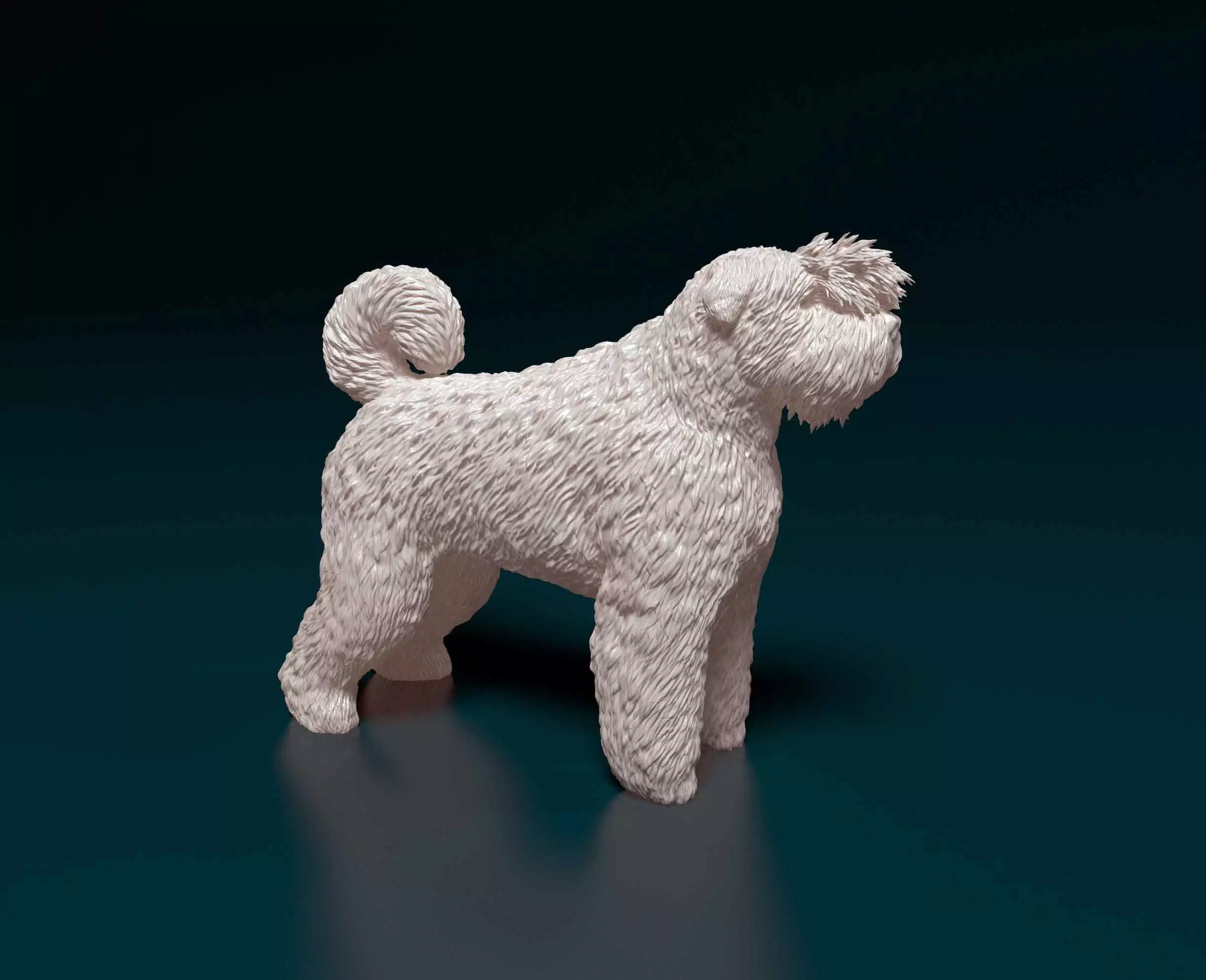 Bouvier des Flandres 3D print model_0