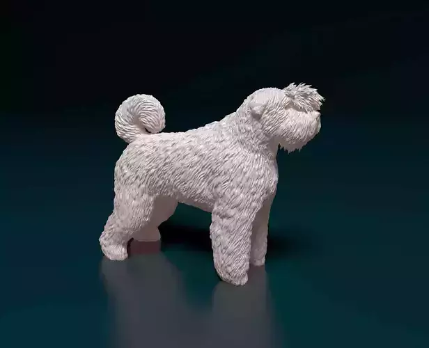 Bouvier des Flandres 3D print model