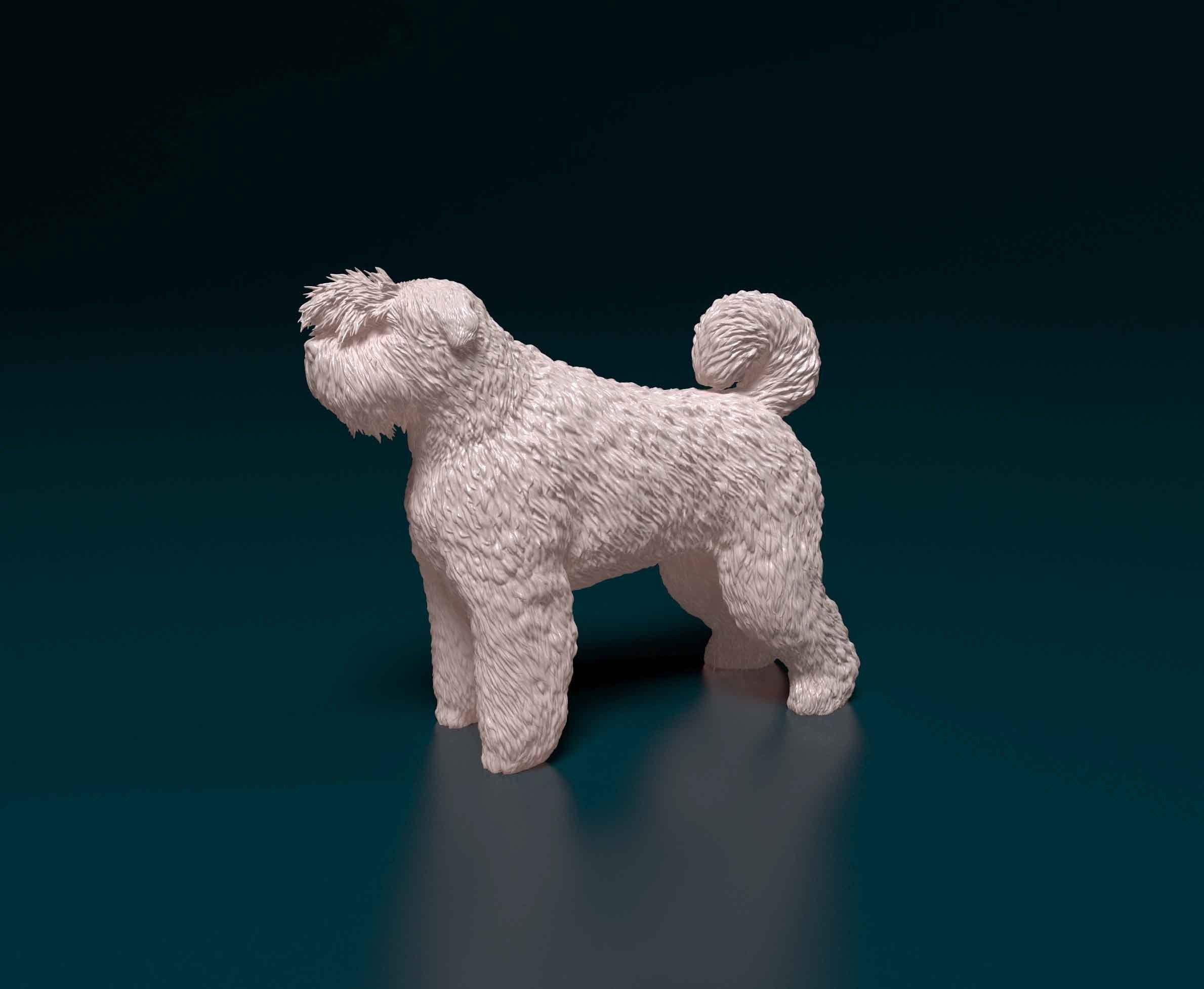 Bouvier des Flandres 3D print model_5