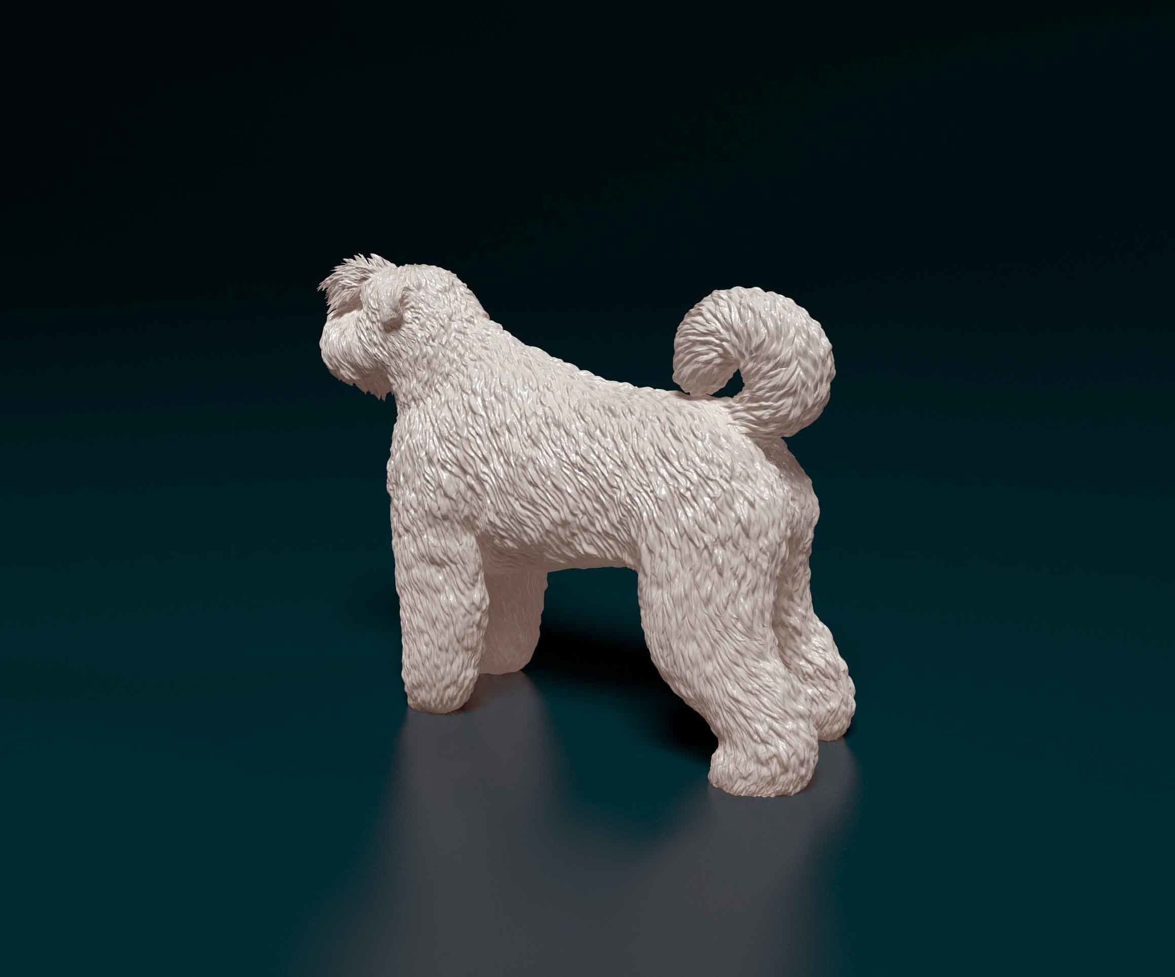Bouvier des Flandres 3D print model_4