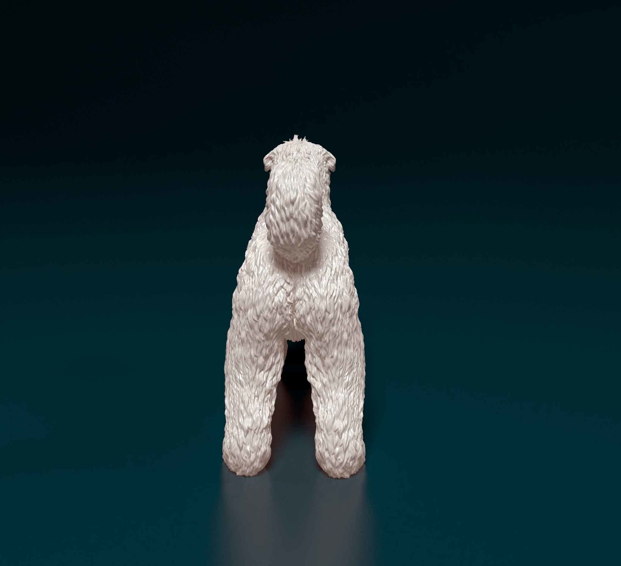 Bouvier des Flandres 3D print model_3