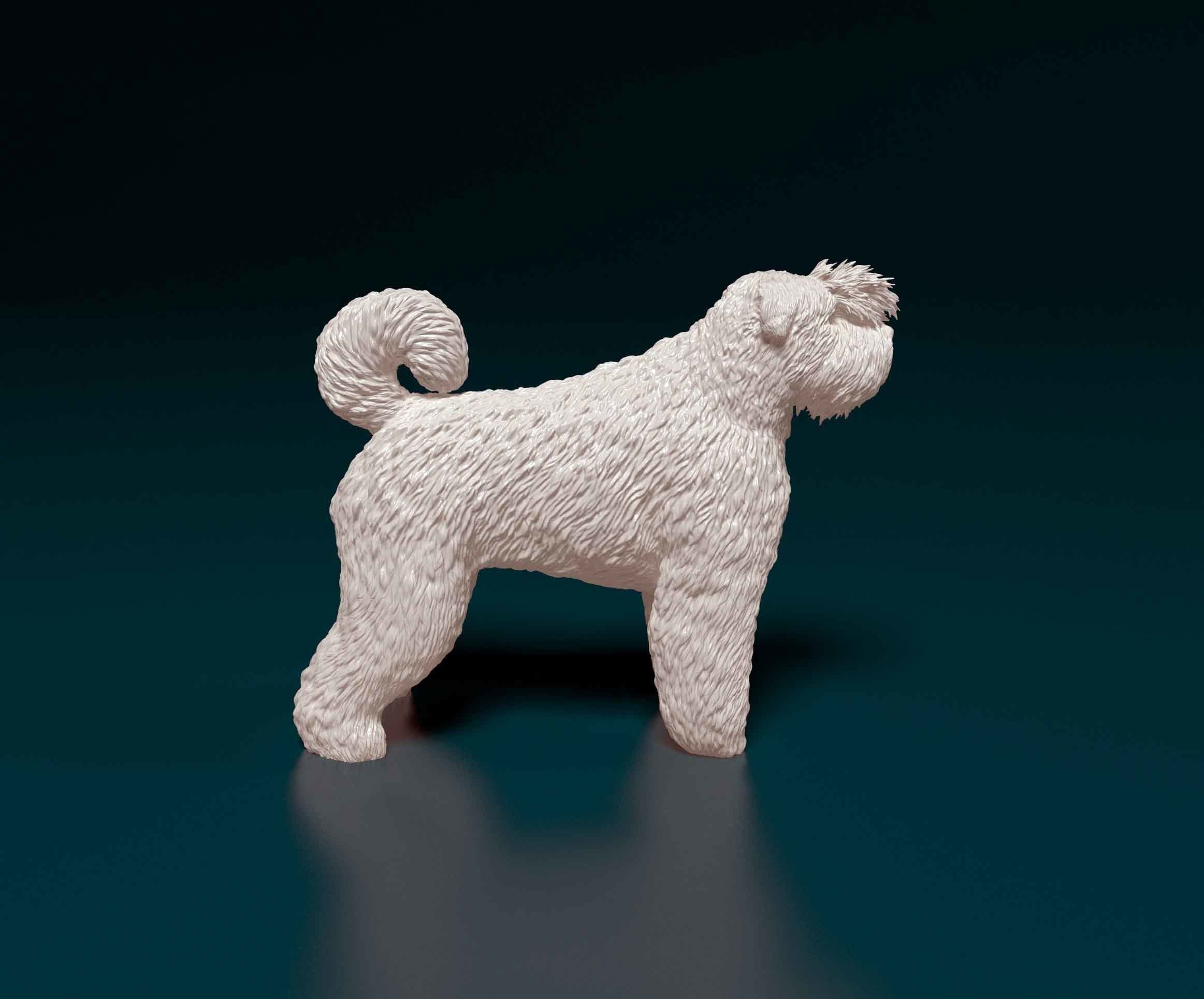 Bouvier des Flandres 3D print model_1