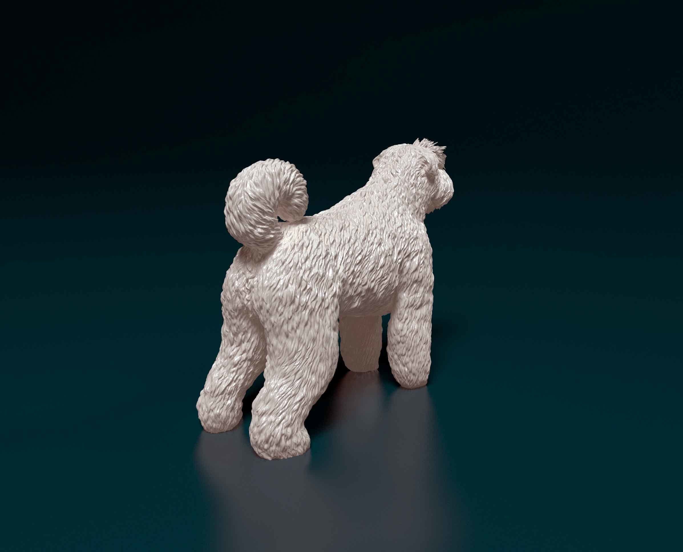 Bouvier des Flandres 3D print model_2