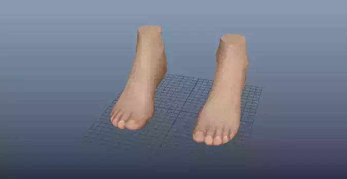 Female Foot Lowpoly Free low-poly 3D model