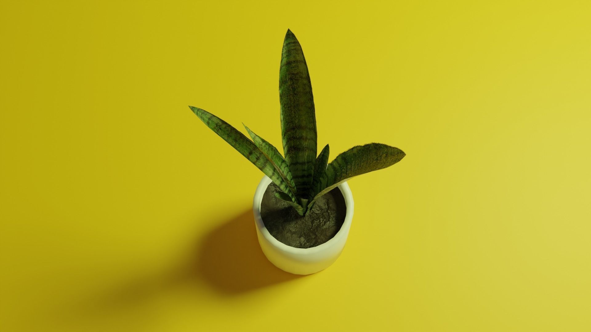 Sansevieria indoor plant PBR Ready for Unreal Engine 5 Low-poly 3D model_1