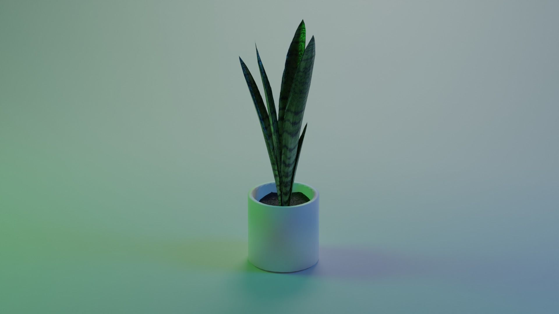 Sansevieria indoor plant PBR Ready for Unreal Engine 5 Low-poly 3D model_3