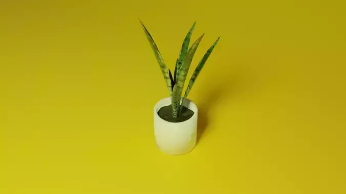 Sansevieria indoor plant PBR Ready for Unreal Engine 5