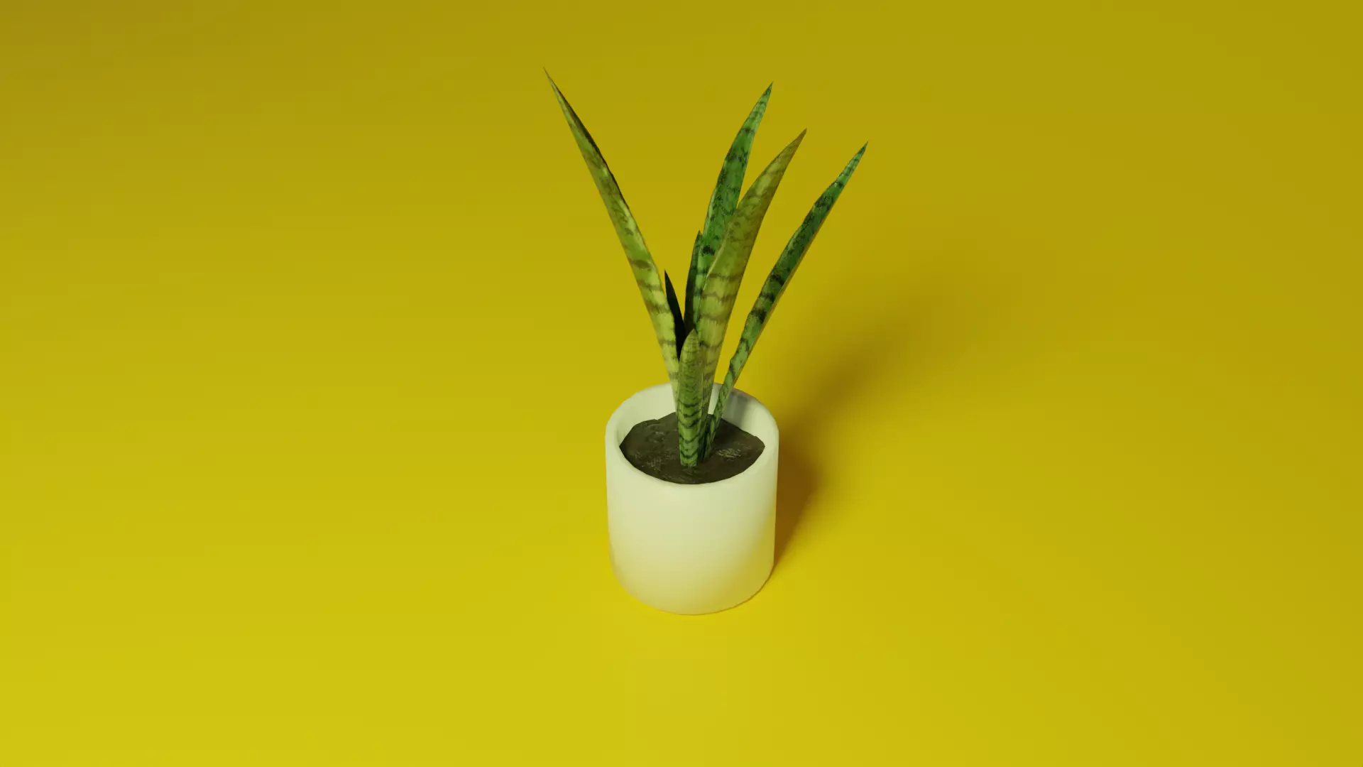 Sansevieria indoor plant PBR Ready for Unreal Engine 5 Low-poly 3D model_0