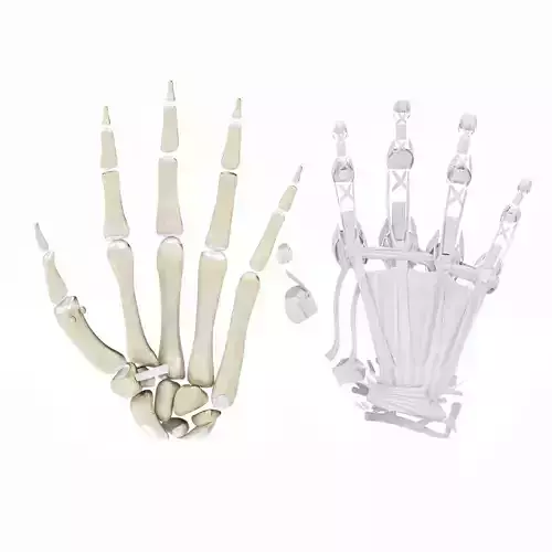 Hand Bones with Ligaments 3D model